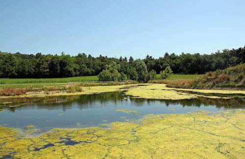 Relax on lake of Garda - Foto 29