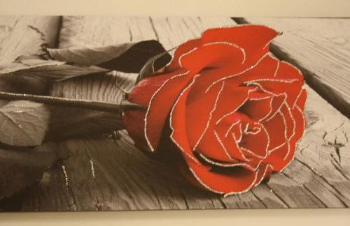 Ca' ARiANna - Photo 14