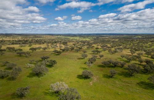 Finca Contrabando completa 20 pax - Foto 79