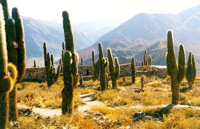 Salta, Jujuy e Tucumán em 7 dias - Foto 4