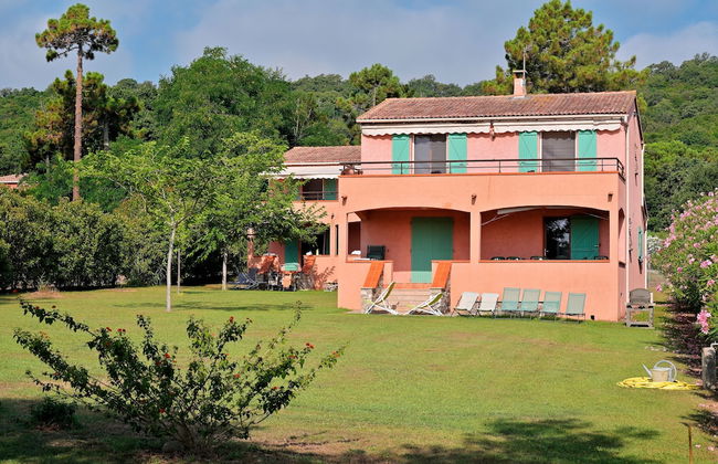 Pinea Mare - Foto 35