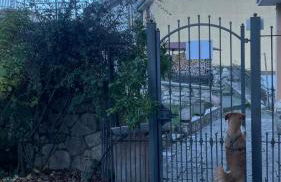 Benvenuti a Casa - Foto 28