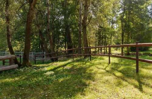 Cozy Holiday Home on a Horse Farm in the Luneburg Heath - Foto 38