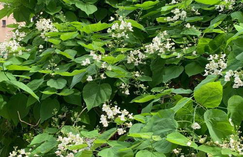 Boarding-Potsdam - Foto 40