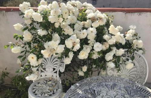 Cosy Studio Mezzanine 2 personnes Plage de Mardi Gras le Vieil - Foto 31