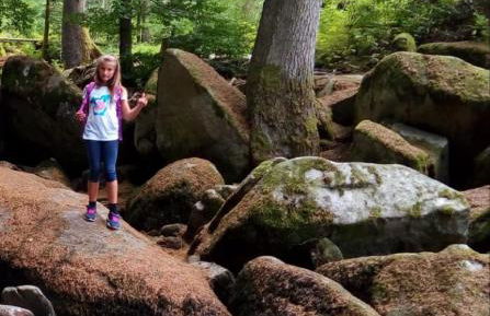 Traumblick Bayerischer Wald, Pool & Sauna, Getränke, Klimaanlage - Foto 53