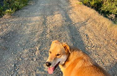 Quinta do Vale Courtyard Sunrise - Foto 18