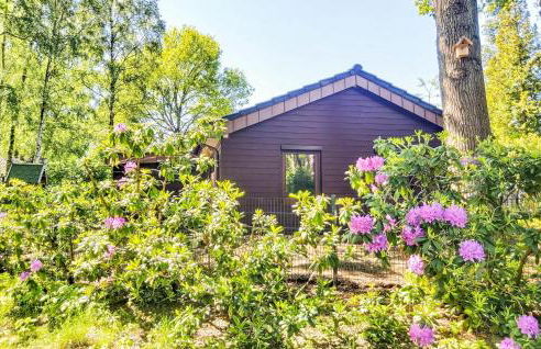 Nice Home In Haren With Sauna - Foto 11