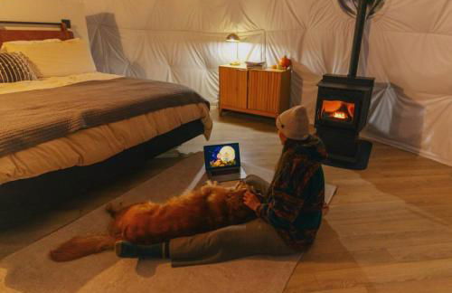 Asheville Luxury Glamping Dome - Mountain Views, and Hot Tub! - Foto 37