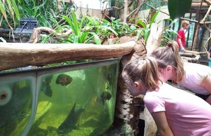 NR- Fewo mit Ladestation für E-Autos - Foto 34