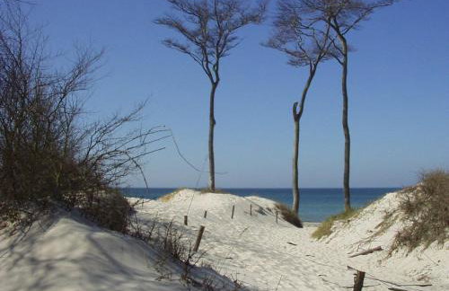 Ferienwohnungen am Bernsteinweg - Foto 21