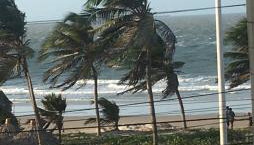 Roma Garden - Foto 4