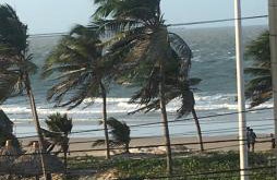 Roma Garden - Foto 4