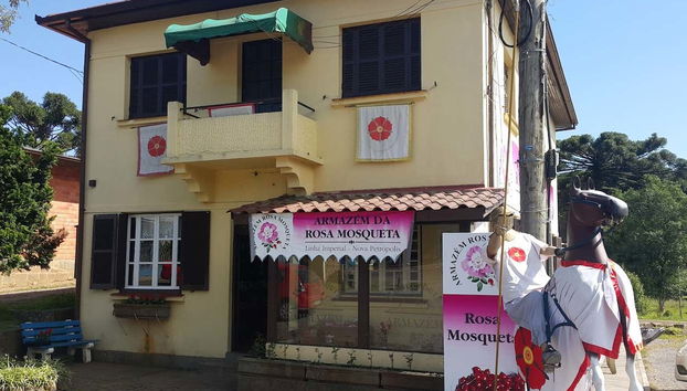 Day Trip to Nova Petrópolis - Foto 5