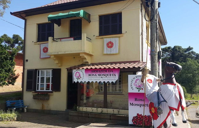 Escursione a Nova Petrópolis - Foto 2