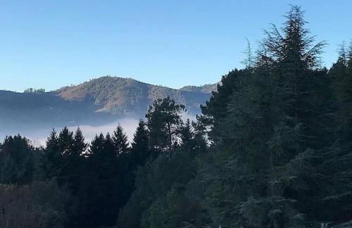 Gîte des 3 vallées - Le soleil des Cévennes - Foto 31