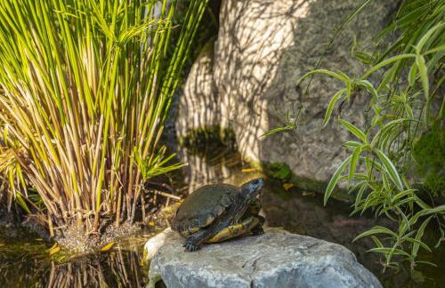 Villa Plomer Serra - Foto 42