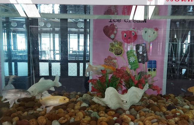 Ruantalay Bangsaray Resort - Foto 34