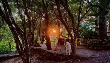 Cabana Tekoha - Photo 3