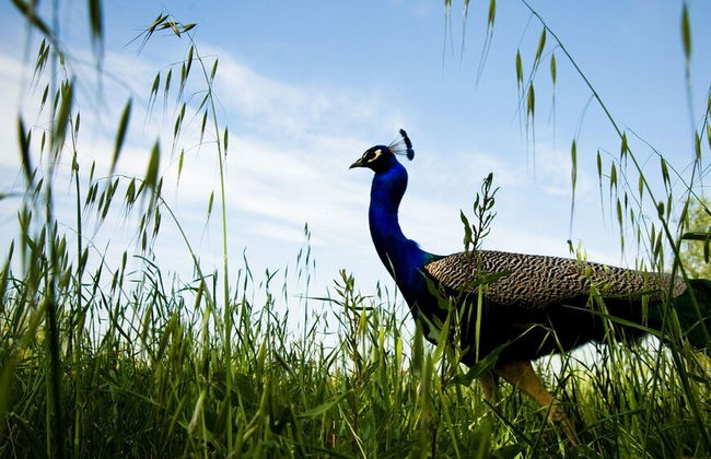 Antica Corte Pallavicina - Foto 19