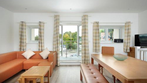 Bewick Swan - Ukc2111 - Foto 3