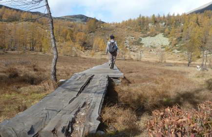 Giuditta FreeCarPark&Garden - Photo 66