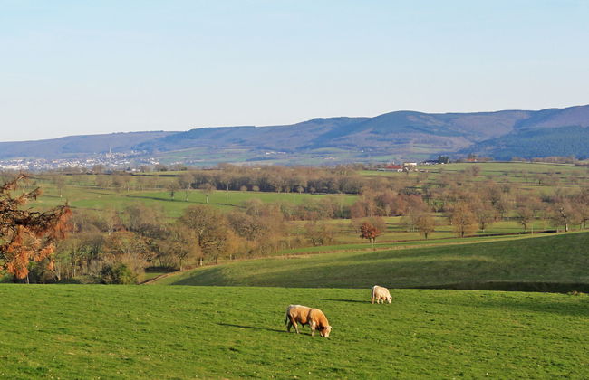 Premier gîte de Bouton - Foto 3