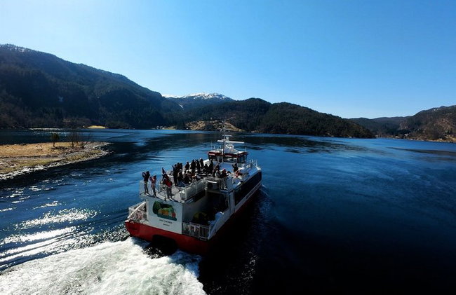 Mostraumen Fjordkreuzfahrt – von Einheimischen betrieben & geführt - Foto 6