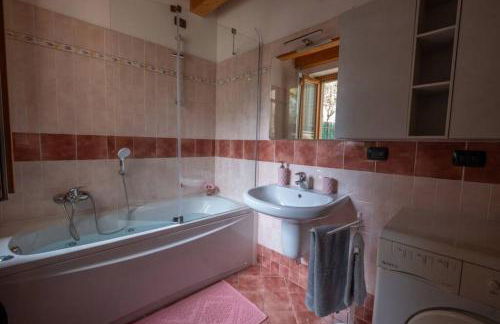 Happy Guest Apartments - Feel The Lake - Foto 8