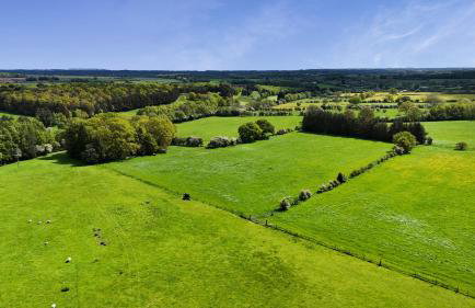Ploughman's Rigg - Photo 36