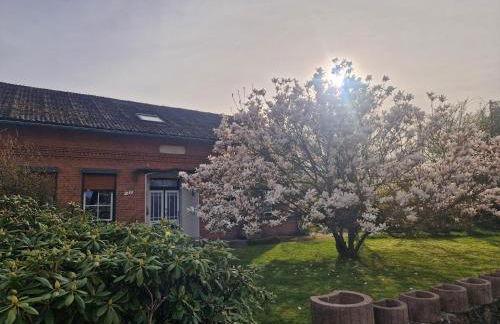 Ferienwohnung Thomée - Ruhig gelegen, ideal für Monteure und Erholungssuchende - Foto 7