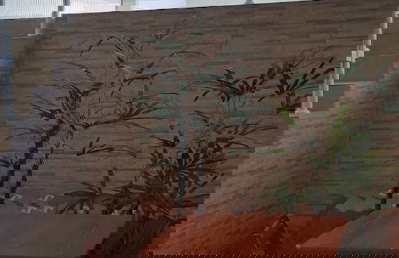 Canto Verde Apartamentos Caraguá - Foto 46