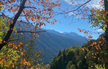 Rosa Blu Mountain Suite - Photo 74