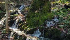 Sofia Mountain Getaway - Photo 2