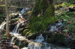 Sofia Mountain Getaway - Photo 2