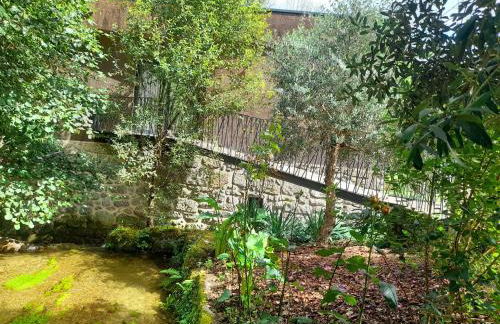 Moinhos Carvalhas - Foto 6