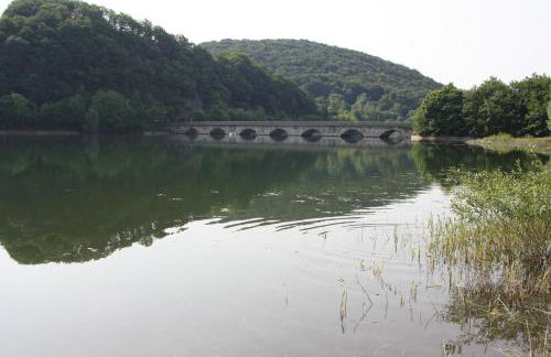 Haus Ceddy Diemelsee - Foto 21