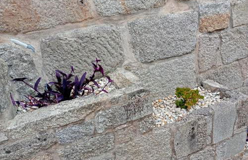 Casa da fonte - Foto 30