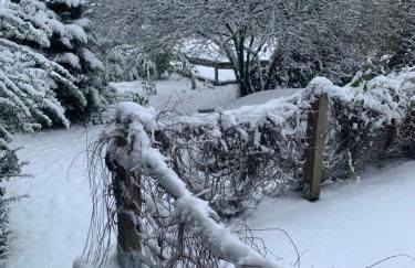 Gutshaus Schwarzenhof - Foto 8