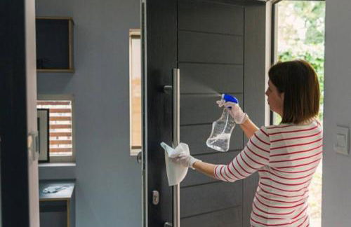 Overlooking Downtown Dunedin Two Bedroom apartment NO KIDS, NO PETS - Foto 10