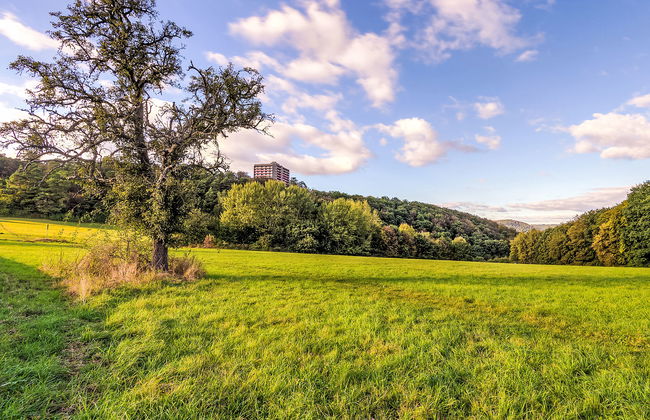 Loreley (A705) - Foto 26