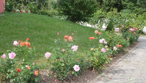 Gitzelbrunnen - Foto 5