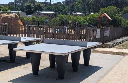 En bord d'eau - charmant Mobil-home climatisé - Cap ferret - Foto 23