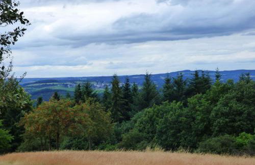 Relaxen am Eifelbach - Foto 16