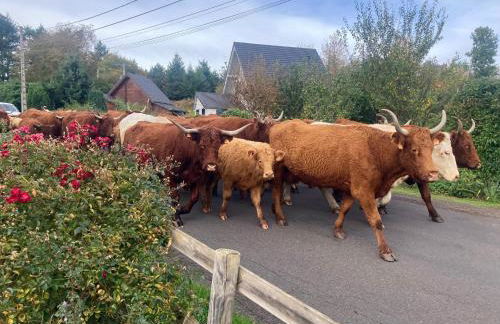 Charmante maison au coeur d'un village auvergnat - Foto 53