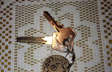 El Corchuelo - Foto 24