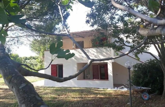 Villa Neri - Foto 14