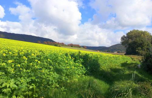 Ferienwohnung am Ellerbach - Foto 28