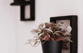 Ferienwohnung - schönes Heim Li-Apartments - Foto 31