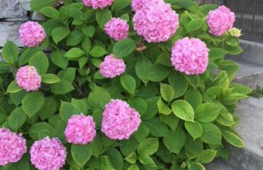 Stonehouse dome Lagadia - Photo 64